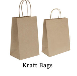Photo of two Kraft Bags